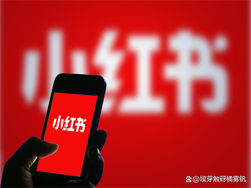 2025涨粉趋势